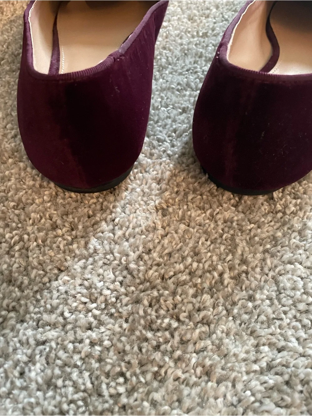 Tory Burch Velvet Embroidered Loafers in Deep Burgundy with Red Motif